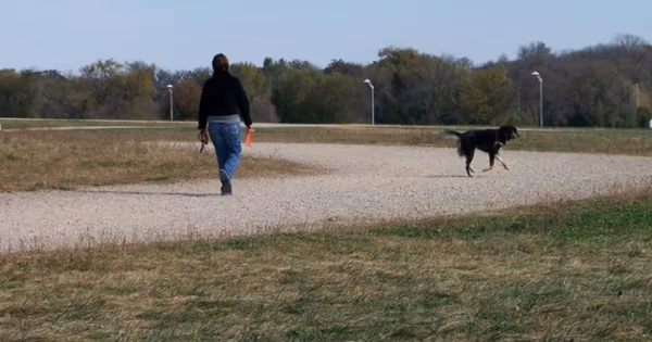 Dog Park at Quann Park